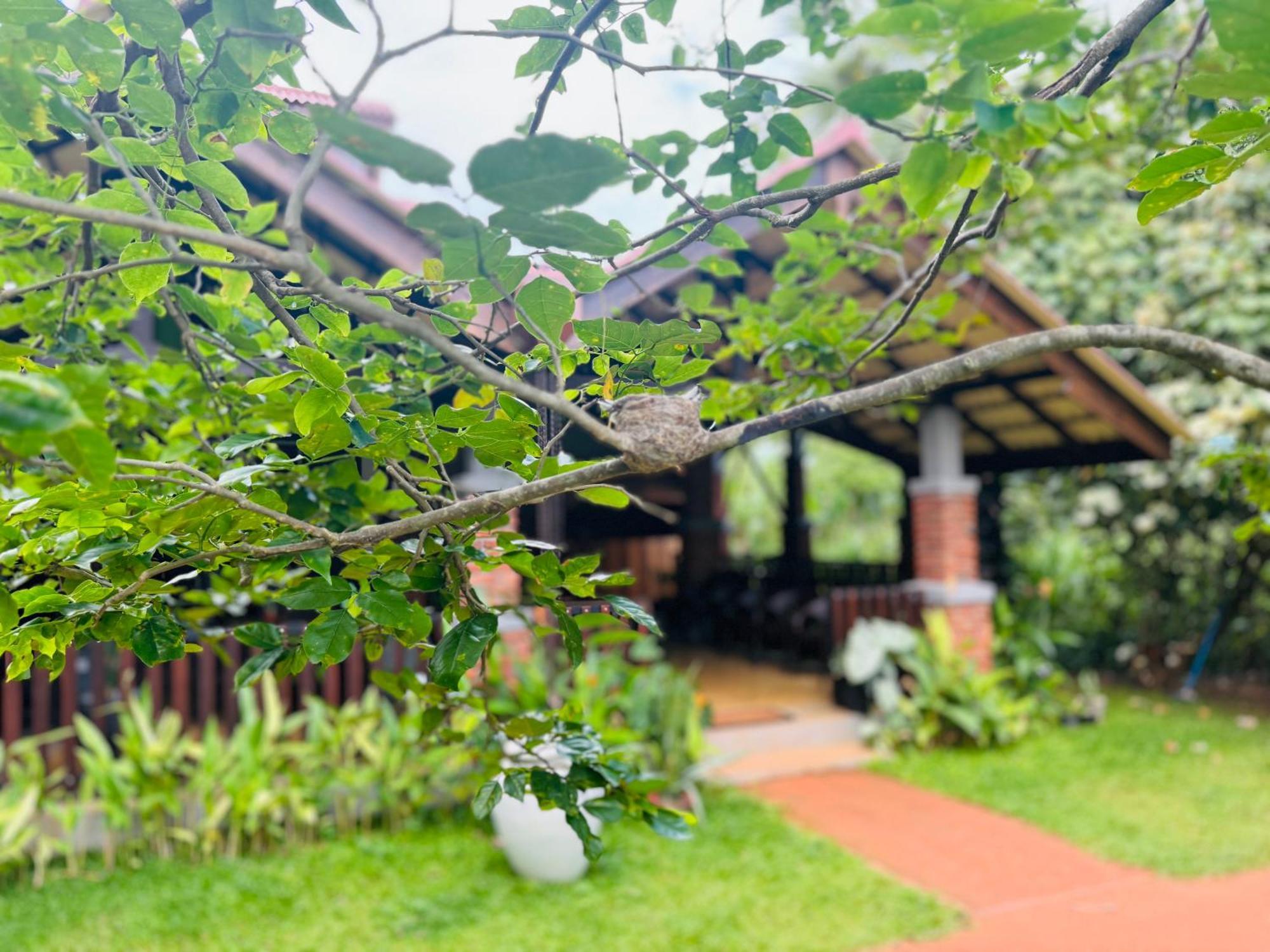 Foresta Resort Sigiriya Esterno foto